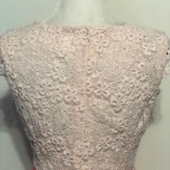 COPY - Julia Jordan Pale Pink / Coral Lace Dress - Picture 8 of 9